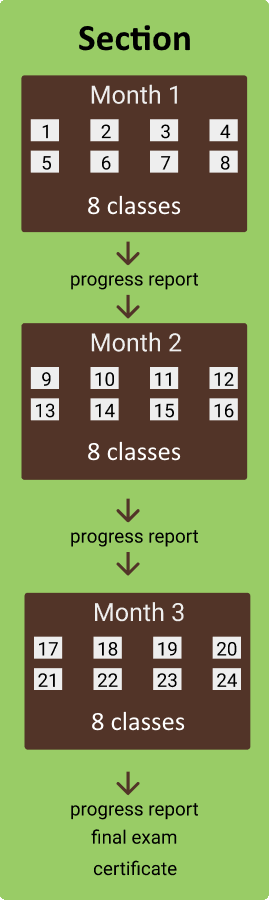 Flowchart showing division of each section into 8 classes each, with progress reports after each one